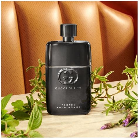 boots gucci guilty pour homme|gucci guilty pour homme fragrantica.